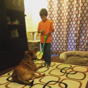 Our Buffalo Dog Trainer provides in-home training that gets lasting results!